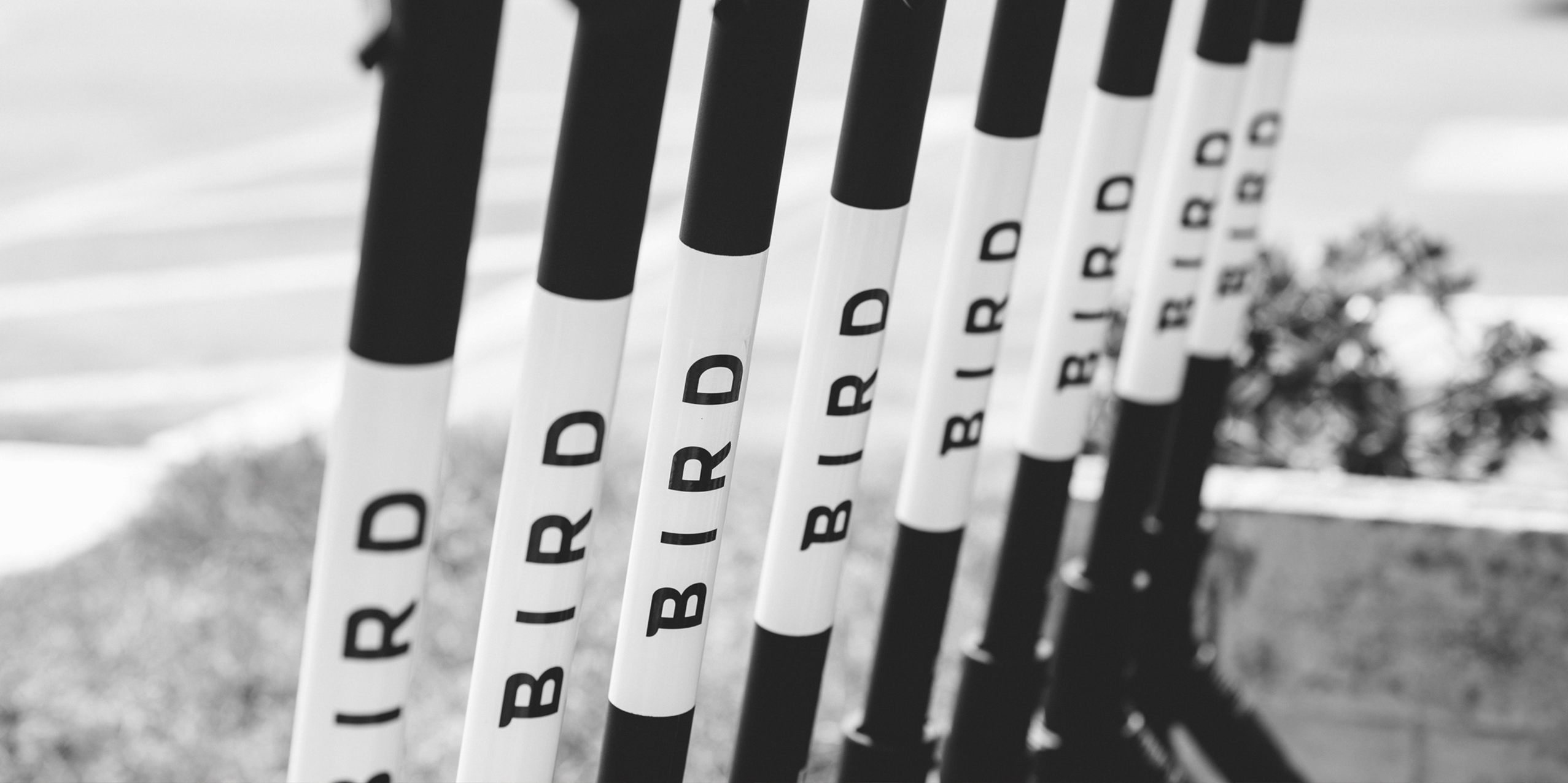 Bird eScooters Launching Throughout Canada Bird · Enjoy the ride