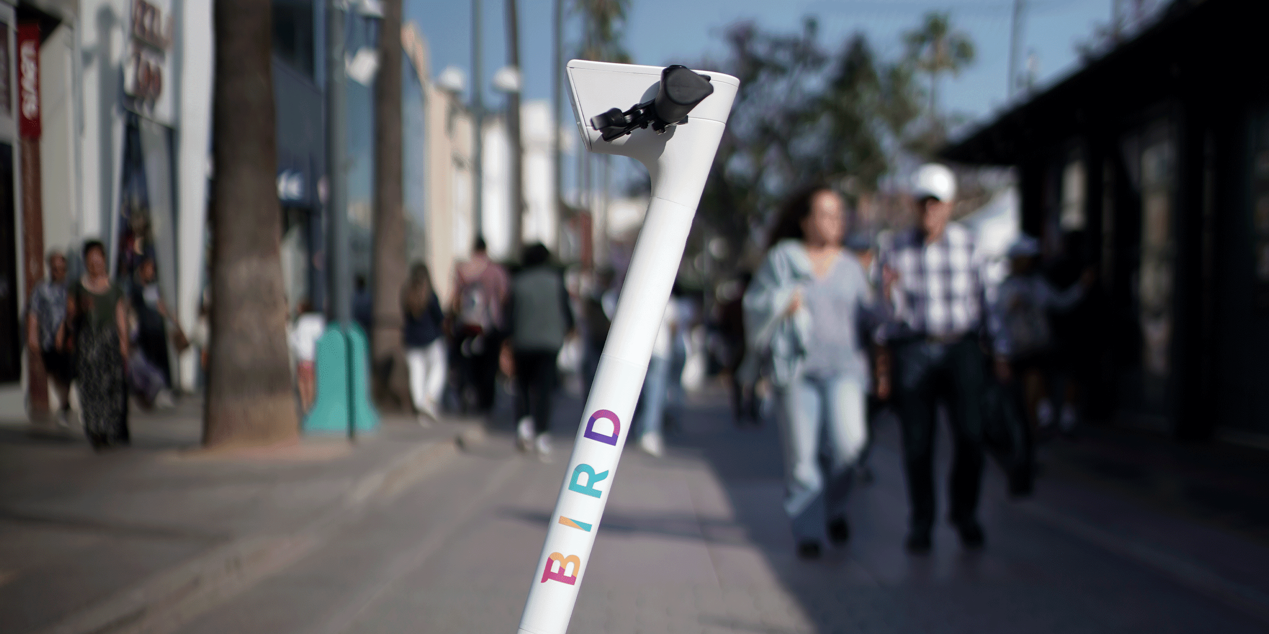 Ride with Pride Ride a Bird, Make an Impact Bird · Enjoy the ride