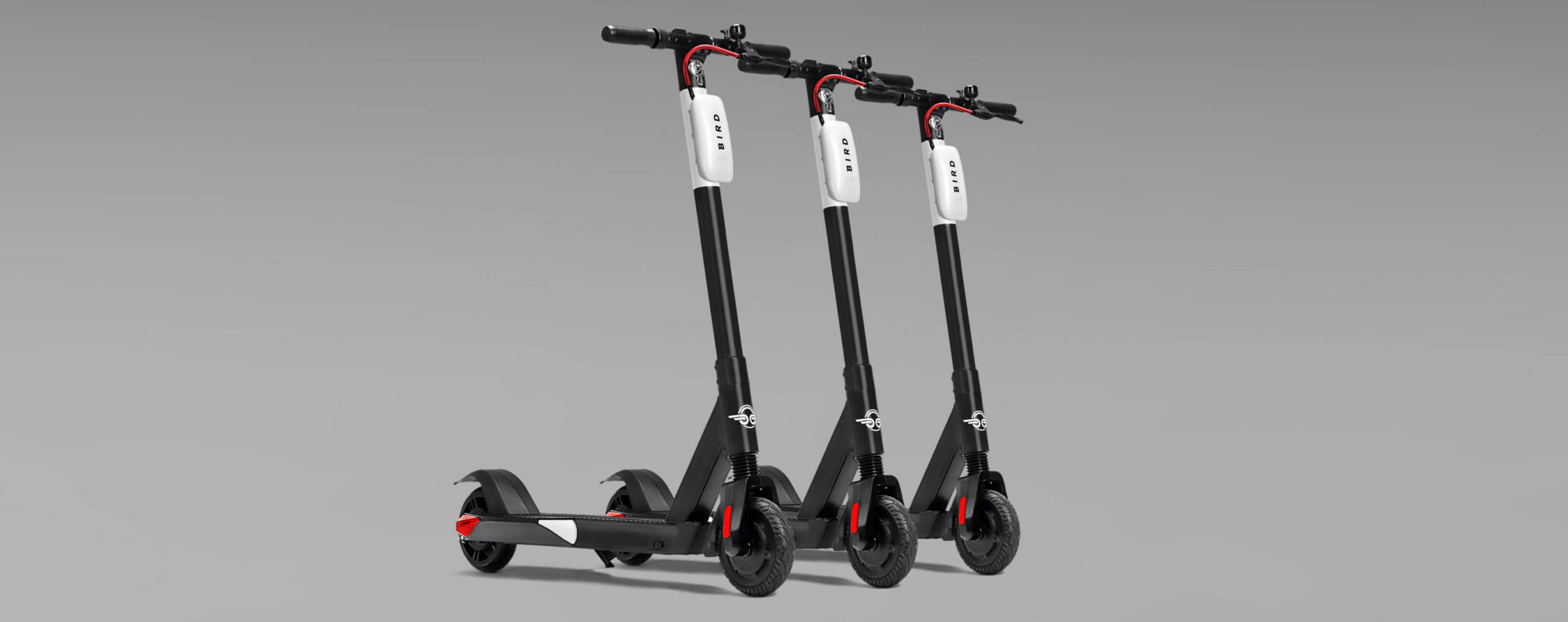 bird scooter website