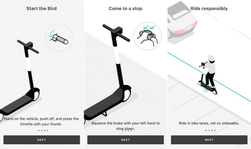 How to Bird An Updated 2022 Beginner’s Guide for Shared Scooter Riding