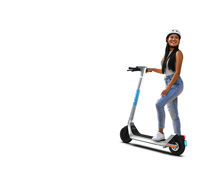 How to Bird Bird · Enjoy the ride