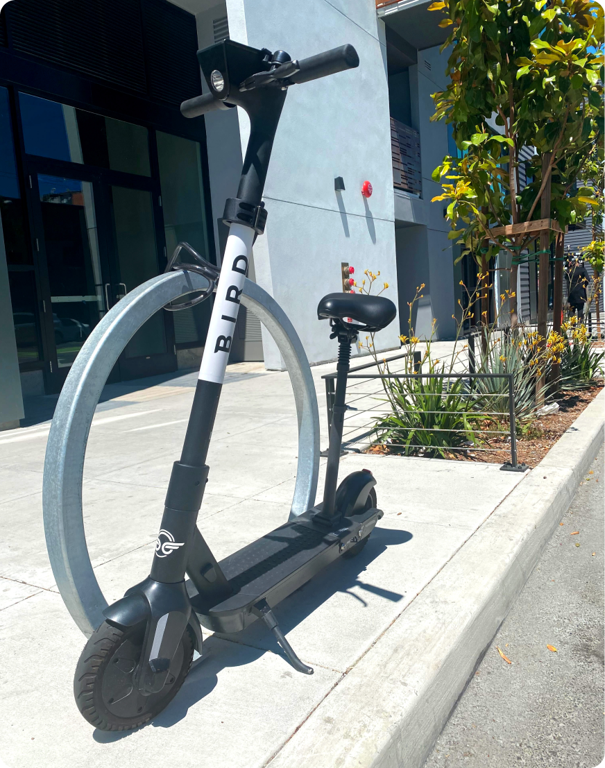 Adaptive Scooter FAQ Bird · Enjoy the ride